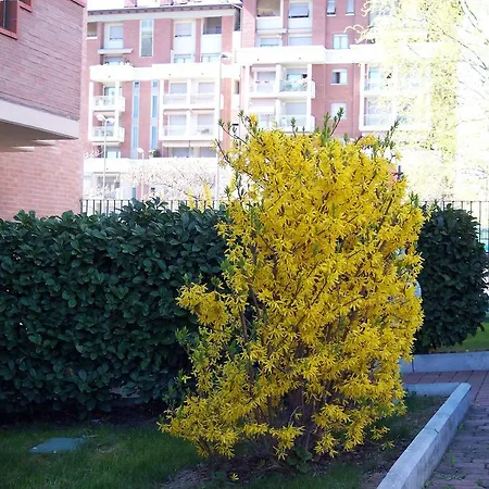 Bed & Breakfast Il Parco Parma