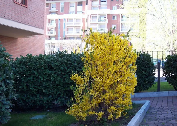 Bed & Breakfast Il Parco Parma